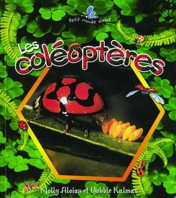 Les Coleopteres (The Life Cycle of a Beetle)