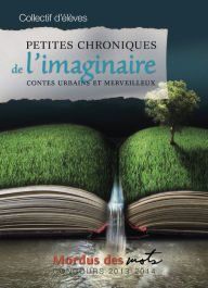 Title: Petites chroniques de l'imaginaire: Contes urbains et merveilleux, Author: Collectif d'élèves