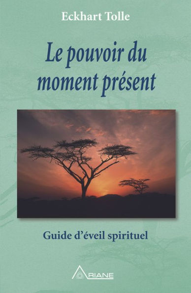 Le pouvoir du moment présent: Guide d'éveil spirituel