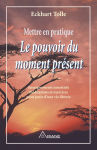 Alternative view 1 of Mettre en pratique le pouvoir du moment présent (Practicing the Power of Now)