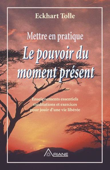 Mettre en pratique le pouvoir du moment présent (Practicing the Power of Now)