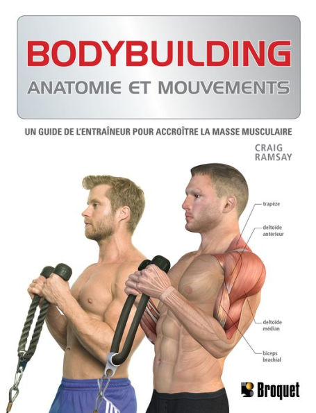 Bodybuilding: Anatomie et mouvements