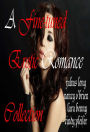 A Fine-Tuned Erotic Romance Collection