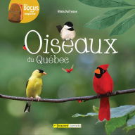 Title: Oiseaux du Québec, Author: Rhéa Dufresne