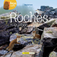 Title: Roches du Québec, Author: Rhéa Dufresne