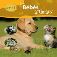 Title: As-tu vu? les bébés animaux, Author: Julien Cléon