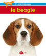 Le beagle: BEAGLE -LE -NE [NUM]