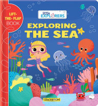 Title: Little Explorers: Exploring the Sea: (a Lift the Flap Book), Author: Daniel Dubé