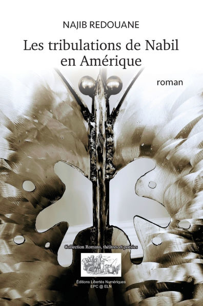 Les Tribulations de Nabil En Amï¿½rique: Roman