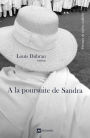 A la poursuite de Sandra: Roman