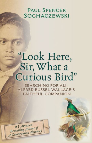 "Look Here, Sir, What a Curious Bird": Searching for Ali, Alfred Russel Wallace's Faithful Companion