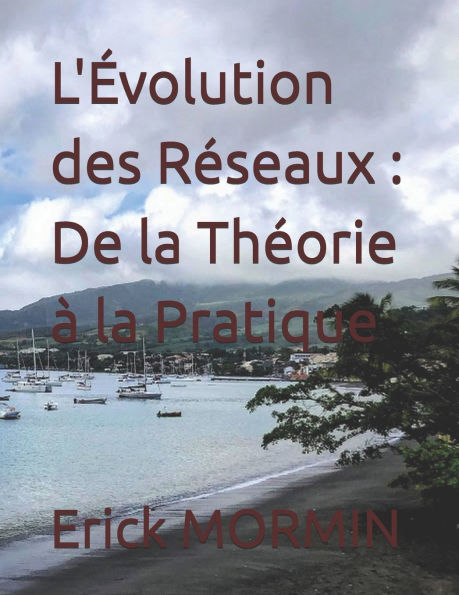 L'ï¿½volution des Rï¿½seaux: De la Thï¿½orie ï¿½ la Pratique