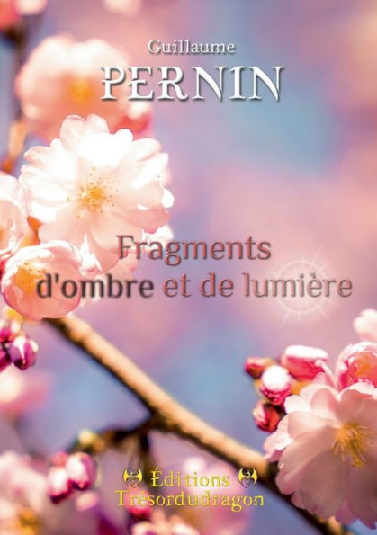 Fragments d'ombre et de lumiï¿½re