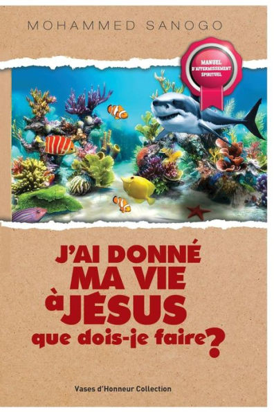 J'Ai Donnï¿½ Ma Vie ï¿½ Jï¿½sus Que Dois-Je Faire ?