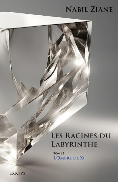 Les Racines du Labyrinthe Tome 1 L'Ombre de Xi
