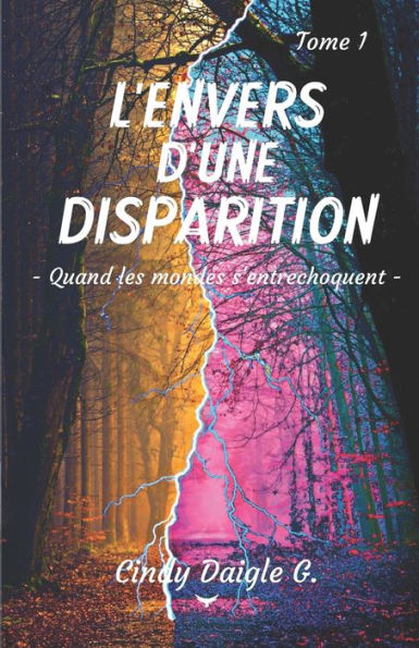 L'envers d'une disparition: - Quand les mondes s'entrechoquent -