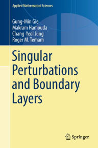 Title: Singular Perturbations and Boundary Layers, Author: Gung-Min Gie