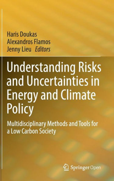 Understanding Risks and Uncertainties in Energy and Climate Policy: Multidisciplinary Methods and Tools for a Low Carbon Society