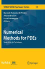 Numerical Methods for PDEs: State of the Art Techniques