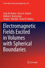 Electromagnetic Fields Excited in Volumes with Spherical Boundaries