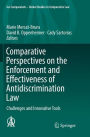 Comparative Perspectives on the Enforcement and Effectiveness of Antidiscrimination Law: Challenges and Innovative Tools