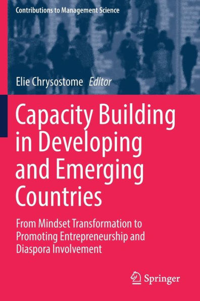 Capacity Building in Developing and Emerging Countries: From Mindset Transformation to Promoting Entrepreneurship and Diaspora Involvement