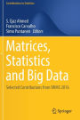 Matrices, Statistics and Big Data: Selected Contributions from IWMS 2016