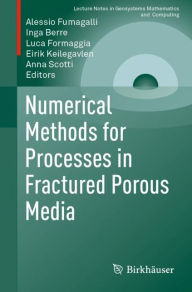 Title: Numerical Methods for Processes in Fractured Porous Media, Author: Alessio Fumagalli