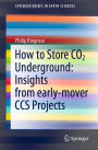 How to Store CO2 Underground: Insights from early-mover CCS Projects