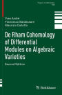 De Rham Cohomology of Differential Modules on Algebraic Varieties
