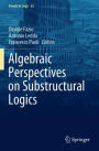 Algebraic Perspectives on Substructural Logics