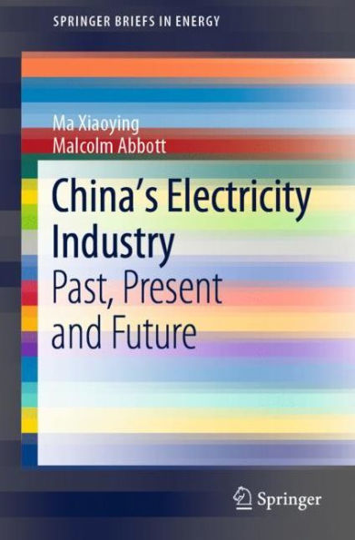 China's Electricity Industry: Past, Present and Future