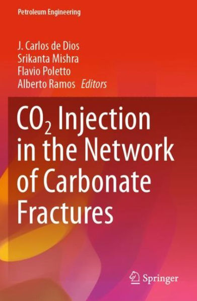 CO2 Injection the Network of Carbonate Fractures
