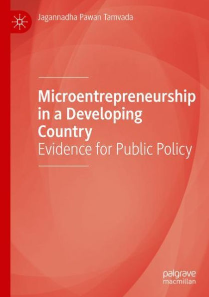 Microentrepreneurship a Developing Country: Evidence for Public Policy