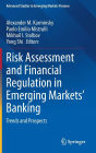 Risk Assessment and Financial Regulation in Emerging Markets' Banking: Trends and Prospects