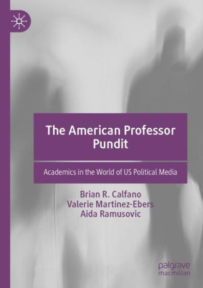 the American Professor Pundit: Academics World of US Political Media