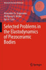 Selected Problems in the Elastodynamics of Piezoceramic Bodies