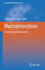 Macropinocytosis: Functions and Mechanisms
