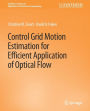 Control Grid Motion Estimation for Efficient Application of Optical Flow