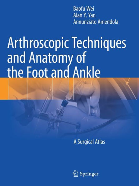 Arthroscopic Techniques and Anatomy of the Foot Ankle: A Surgical Atlas