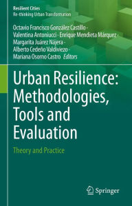 Title: Urban Resilience: Methodologies, Tools and Evaluation: Theory and Practice, Author: Octavio Francisco González Castillo