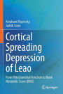 Cortical Spreading Depression of Leao: From Mitochondrial Function to Brain Metabolic Score (BMS)