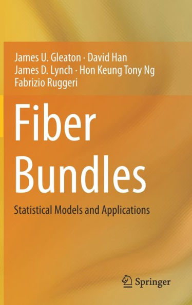 Fiber Bundles: Statistical Models and Applications