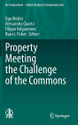Property Meeting the Challenge of the Commons