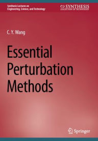 Title: Essential Perturbation Methods, Author: C.Y. Wang