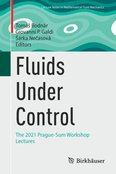 Fluids Under Control: The 2021 Prague-Sum Workshop Lectures