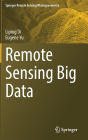 Remote Sensing Big Data
