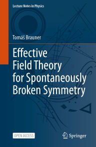 Title: Effective Field Theory for Spontaneously Broken Symmetry, Author: Tomás Brauner