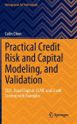 Practical Credit Risk and Capital Modeling, and Validation: CECL, Basel Capital, CCAR, and Credit Scoring with Examples