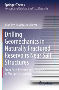 Free books to download Drilling Geomechanics in Naturally Fractured Reservoirs Near Salt Structures: From Pore-Pressure in Carbonates to Multiphysics Models by Juan Pedro Morales Salazar PDB CHM 9783031565274